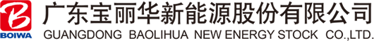 广东宝丽华新能源股份有限公司